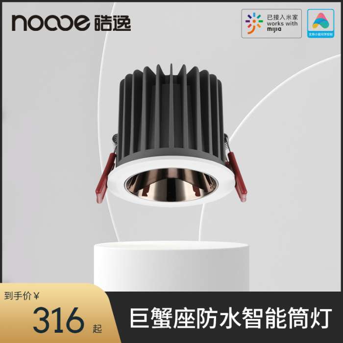 巨蟹座智能防水筒燈